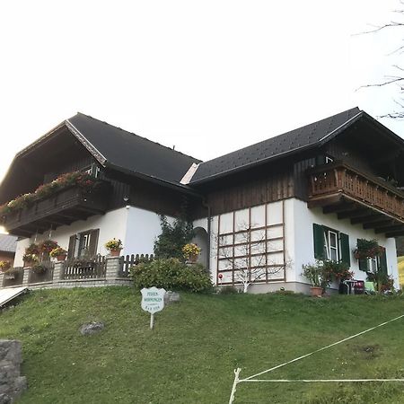 Ferienwohnung Syen Grundlsee Dış mekan fotoğraf