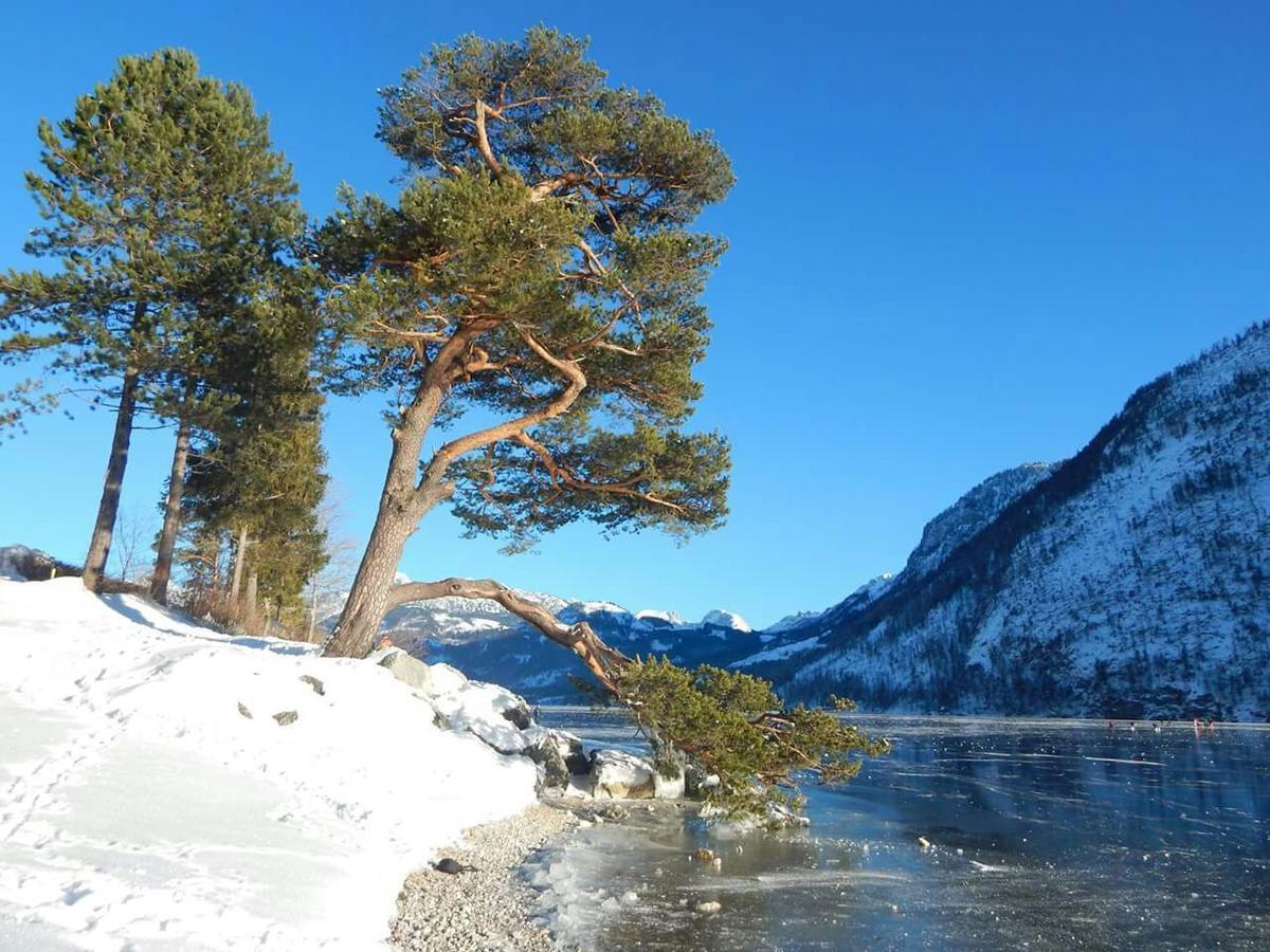 Ferienwohnung Syen Grundlsee Dış mekan fotoğraf